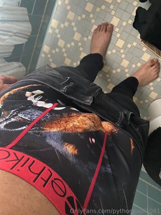 pythonpapi1041